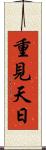 重見天日 Scroll