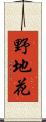 野地花 Scroll