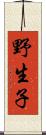 野生子 Scroll