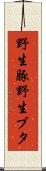 野生豚 Scroll