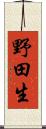野田生 Scroll