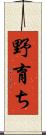野育ち Scroll