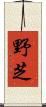 野芝 Scroll