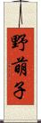 野萌子 Scroll
