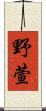 野萱 Scroll