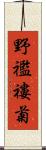 野襤褸菊 Scroll