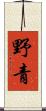野青 Scroll