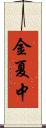 金夏中 Scroll