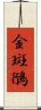 金斑鴴 Scroll