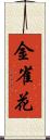 金雀花 Scroll
