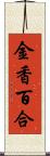 金香百合 Scroll