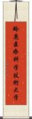 鈴鹿医療科学技術大学 Scroll