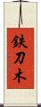 鉄刀木 Scroll