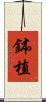 鉢植 Scroll