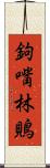 鉤嘴林鵙 Scroll