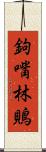 鉤嘴林鵙 Scroll