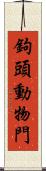 鉤頭動物門 Scroll