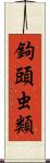 鉤頭虫類 Scroll