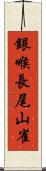 銀喉長尾山雀 Scroll