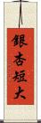 銀杏短大 Scroll