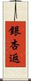 銀杏返 Scroll