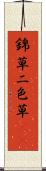 錦草 Scroll
