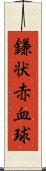 鎌状赤血球 Scroll
