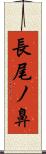 長尾ノ鼻 Scroll
