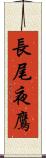 長尾夜鷹 Scroll