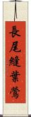長尾縫葉鶯 Scroll