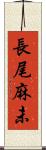 長尾麻未 Scroll