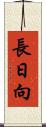 長日向 Scroll