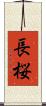 長桜 Scroll