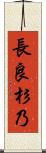長良杉乃 Scroll