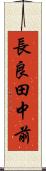 長良田中前 Scroll