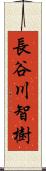 長谷川智樹 Scroll