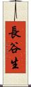 長谷生 Scroll