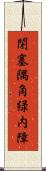 閉塞隅角緑内障 Scroll