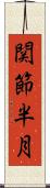 関節半月 Scroll