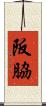 阪脇 Scroll