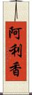 阿利香 Scroll