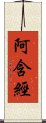 阿含經 Scroll