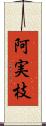 阿実枝 Scroll