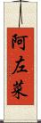 阿左菜 Scroll