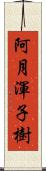 阿月渾子樹 Scroll