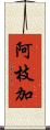 阿枝加 Scroll