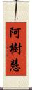 阿樹慧 Scroll