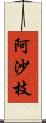 阿沙枝 Scroll