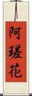 阿瑳花 Scroll