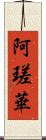 阿瑳華 Scroll